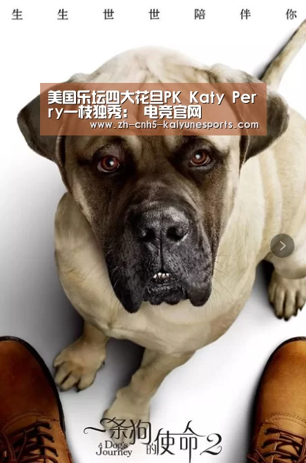 美国乐坛四大花旦PK Katy Perry一枝独秀: 电竞官网(图1) LOL直播