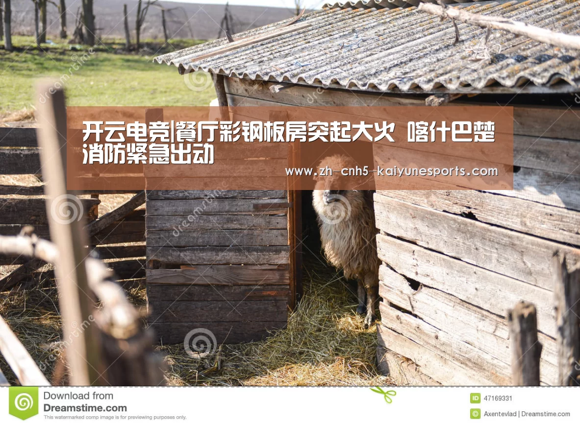 开云电竞|餐厅彩钢板房突起大火 喀什巴楚消防紧急出动(图4) 电竞官网