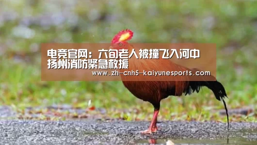  电竞官网