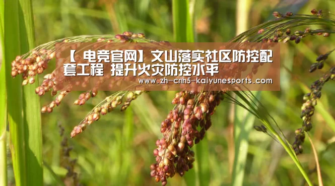 【 电竞官网】文山落实社区防控配套工程 提升火灾防控水平(图3) LOL直播