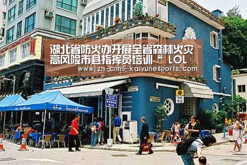 湖北省防火办开展全省森林火灾高风险市县指挥员培训“ LOL直播”(图2) LOL直播