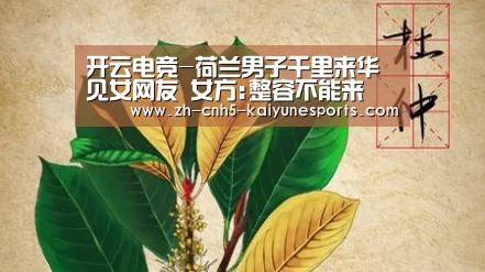 开云电竞-荷兰男子千里来华见女网友 女方:整容不能来