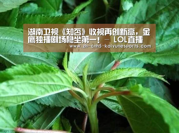 湖南卫视《知否》收视再创新高,金鹰独播剧场稳坐第一!- LOL直播(图3) 开云电竞